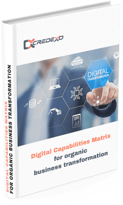 An ebook on digital capabilities matrix