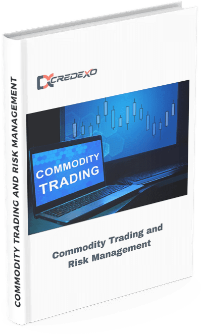 An ebook on commodity trading and risk management